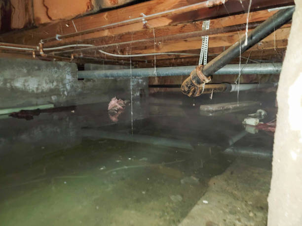 Best Emergency water damage restoration  in Myrtletown, CA