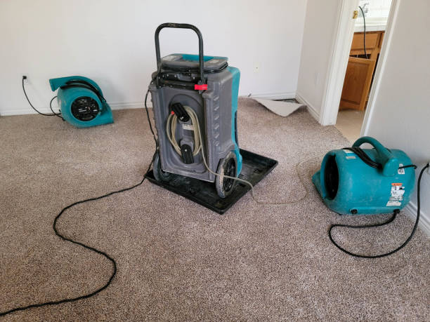 Best Water damage restoration near me  in Myrtletown, CA