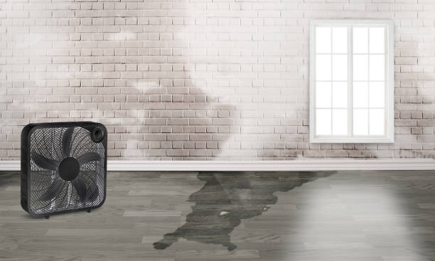 Professional Water damage restoration in Myrtletown, CA