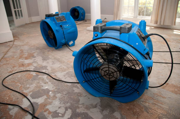 Best Water damage contractors near me  in Myrtletown, CA