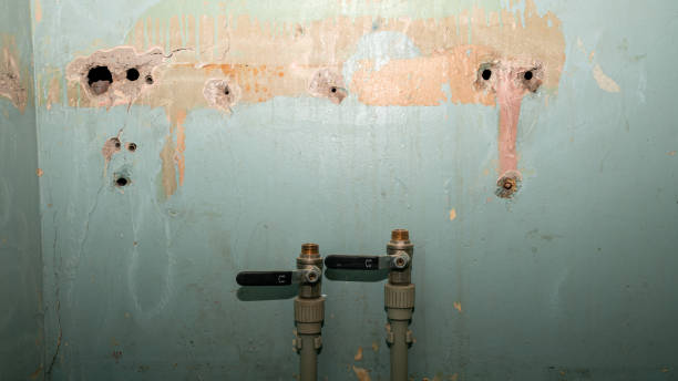 Best Water damage restoration near me  in Myrtletown, CA