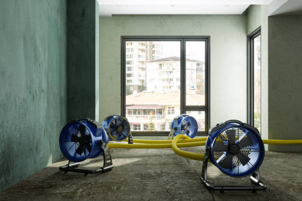 Best Sewage cleanup and water damage restoration  in Myrtletown, CA